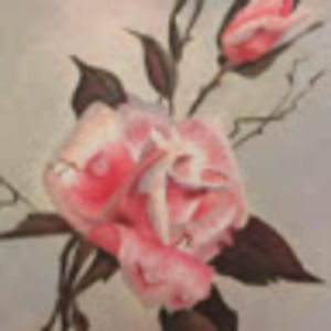 Meet your Posher, Jorie